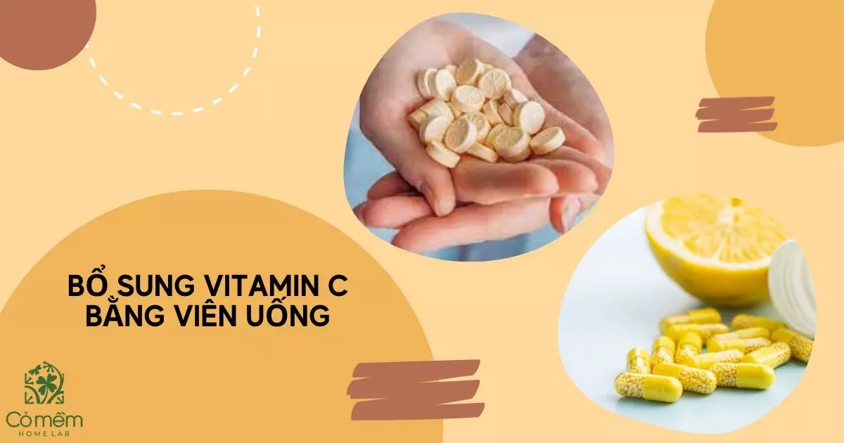 vitamin c có tác dụng gì