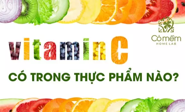 vitamin c có trong thực phẩm nào