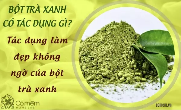 Bột trà xanh có tác dụng gì?