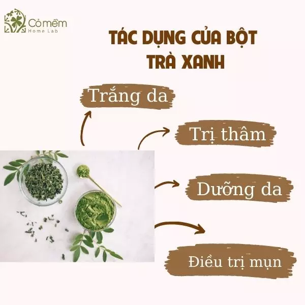 bột trà xanh đắp mặt