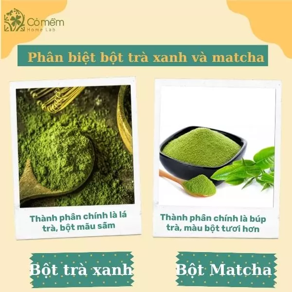 cách làm trắng da bằng bột trà xanh