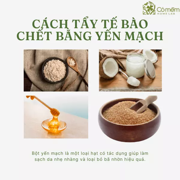 cách tẩy tế bào chết cho da mặt nhờn