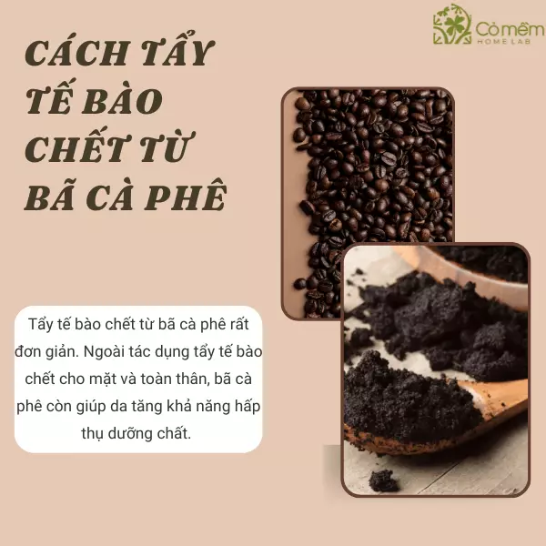 cách tẩy da chết mặt