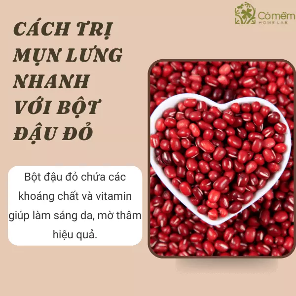 cách trị thâm mụn lưng nhanh nhất