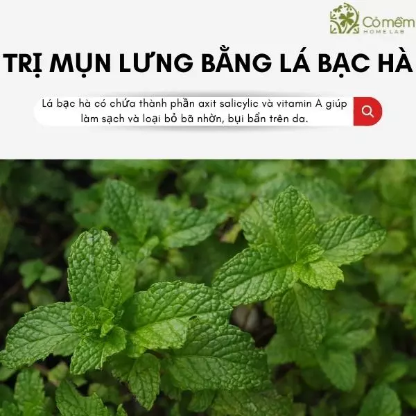 trị mụn lưng nhanh nhất