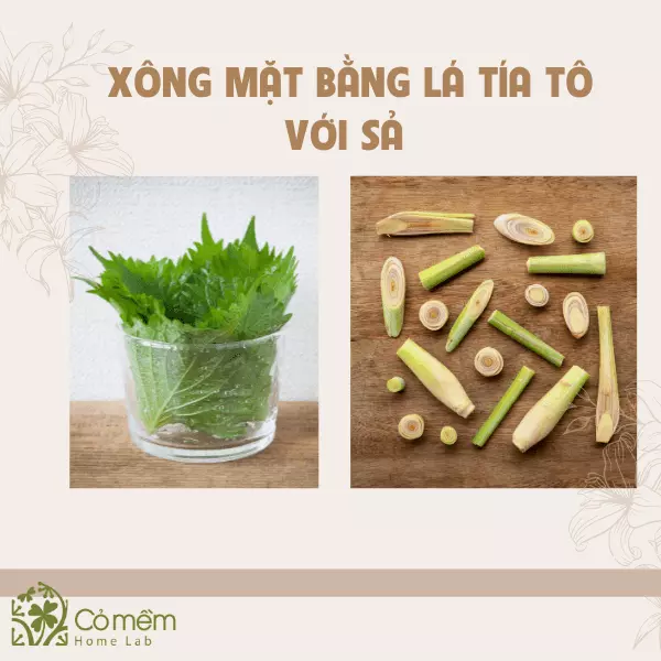 cách xông mặt bằng lá tía tô và sả