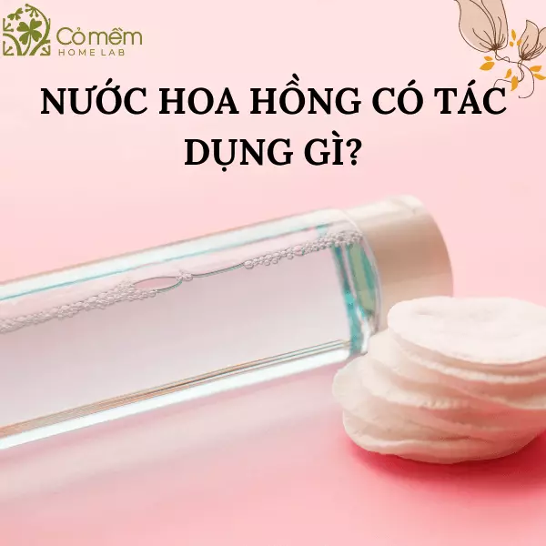 công dụng của nước hoa hồng