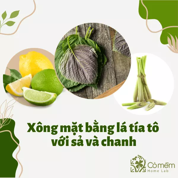 làm đẹp bằng lá tía tô