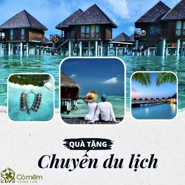 mua quà cho mẹ chồng ở quê