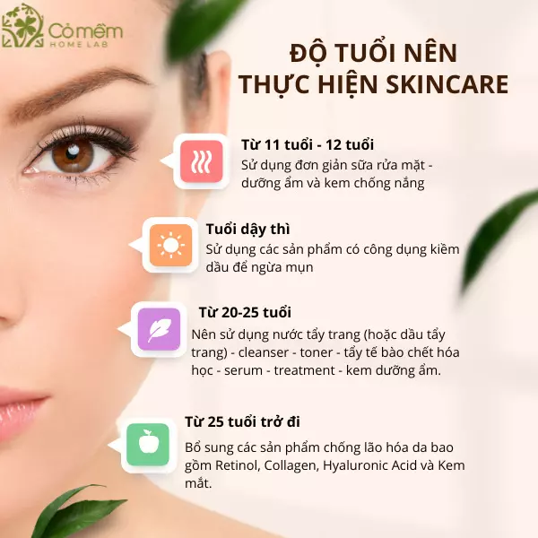 các bước skincare là gì