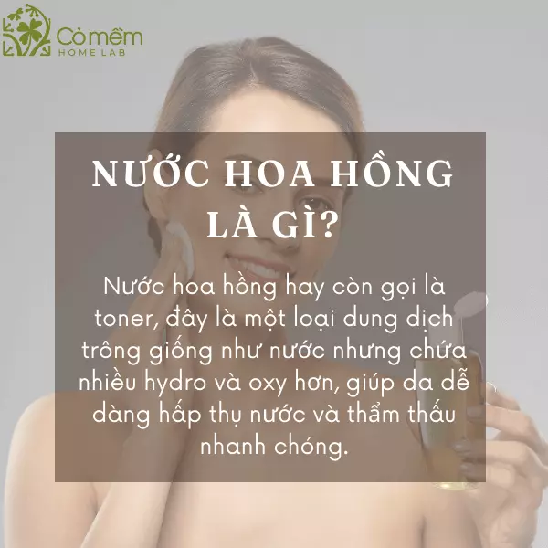 tác dụng của nước hoa hồng