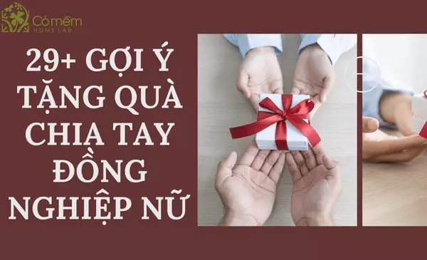 tặng quà chia tay đồng nghiệp nữ