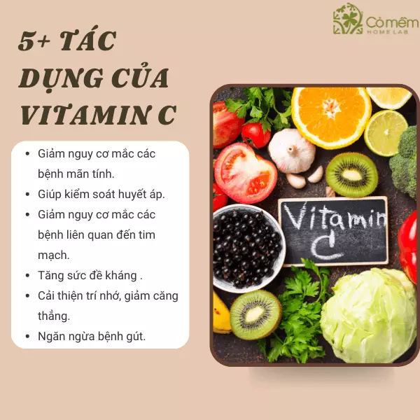 uống vitamin c hàng ngày có tốt không