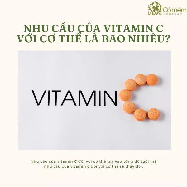 uống vitamin c hàng ngày có tác dụng gì