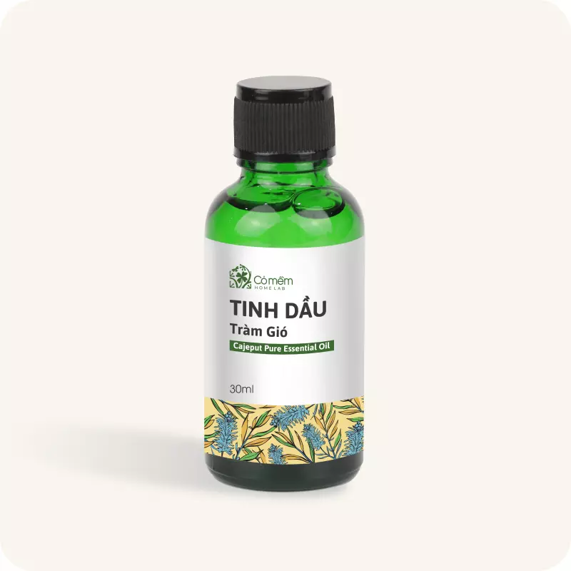 Tinh dầu tràm gió - Kháng Khuẩn, Trị mụn, Chống cảm lạnh