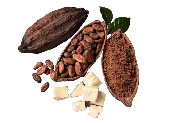 Bơ Cacao