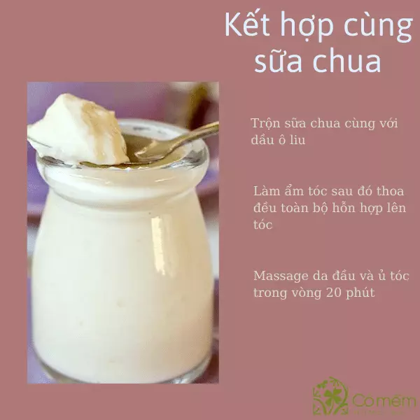 dùng dầu oliu dưỡng tóc