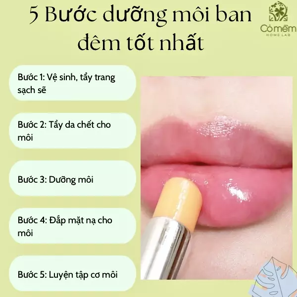 hướng dẫn dưỡng môi ban đêm