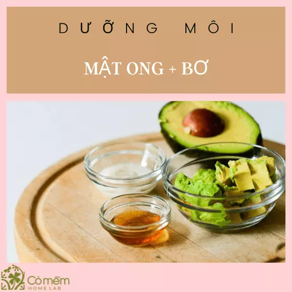 dưỡng môi từ mật ong