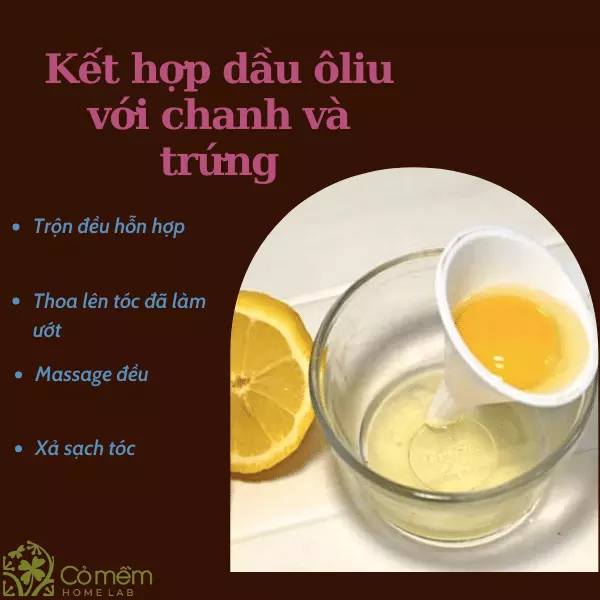 cách dưỡng tóc bằng dầu ô liu