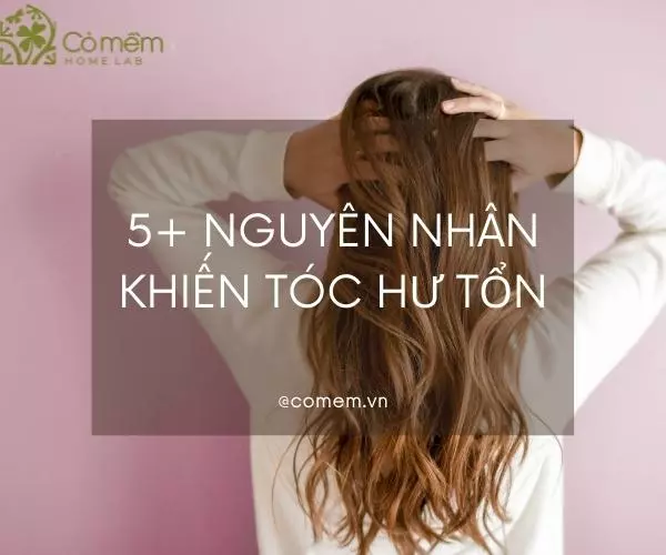 cách phục hồi tóc hư tổn tại nhà