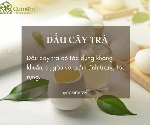 phục hồi tóc xơ hư tổn