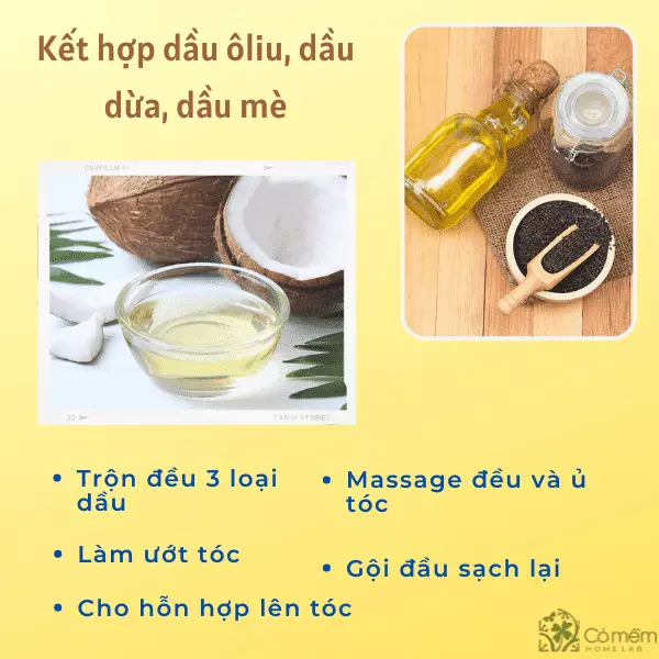 dưỡng tóc bằng dầu oliu