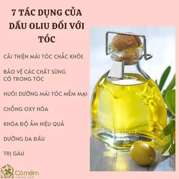 dầu ô liu dưỡng tóc