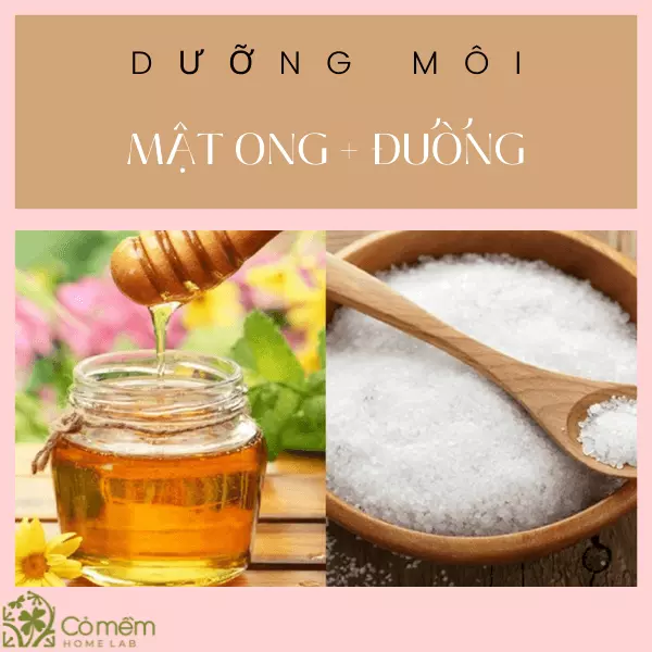 dưỡng môi mật ong