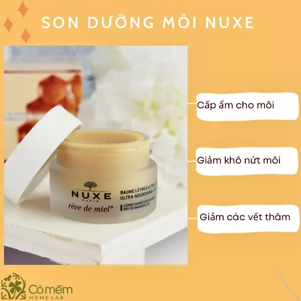 dưỡng môi ban đêm loại nào tốt