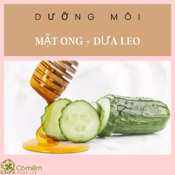 dưỡng môi ban đêm bằng mật ong