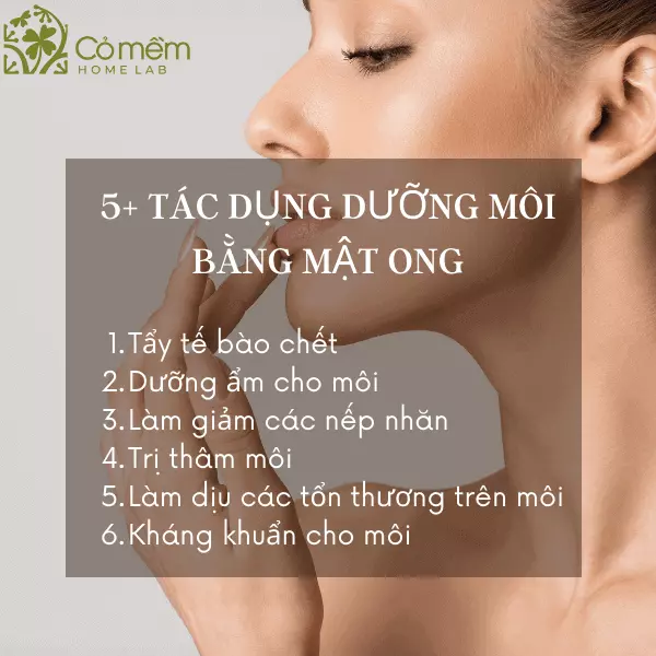 cách dưỡng môi bằng mật ong