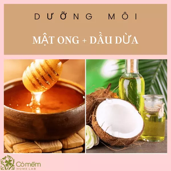 dưỡng môi bằng mật ong và dầu dừa