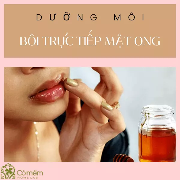 dưỡng môi bằng mật ong qua đêm