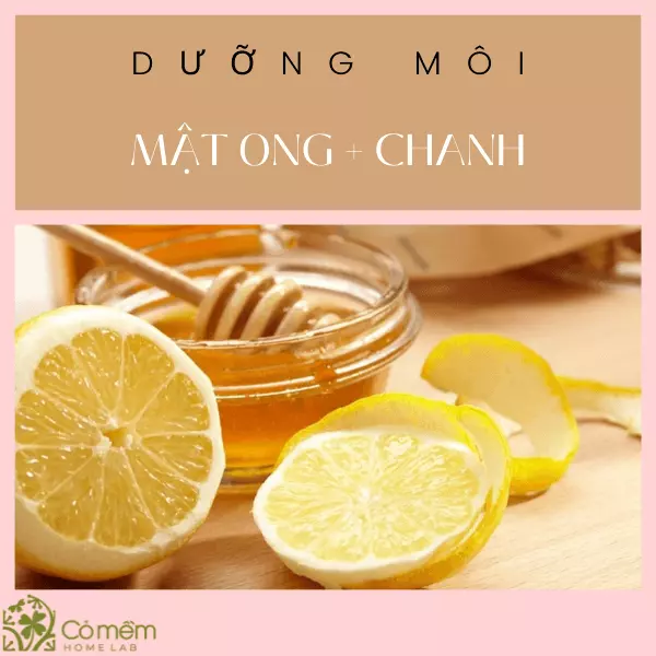 dưỡng môi sáp ong