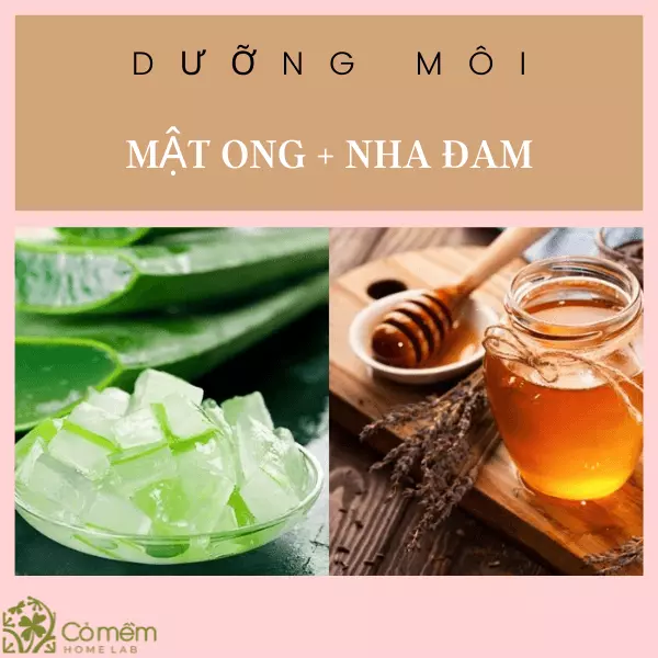 dưỡng môi bằng mật ong có tốt không