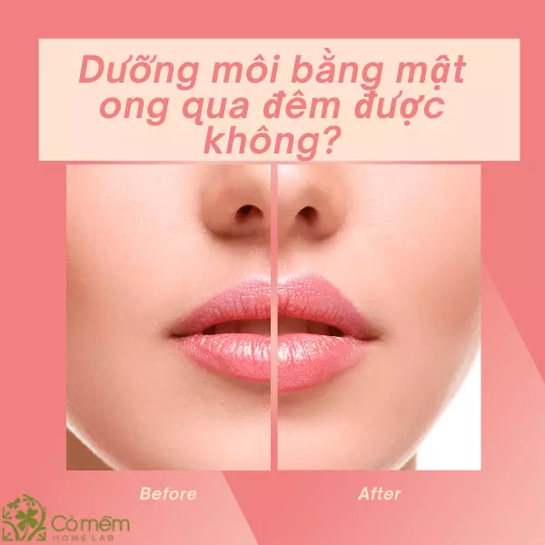 dưỡng môi ban đêm bằng mật ong