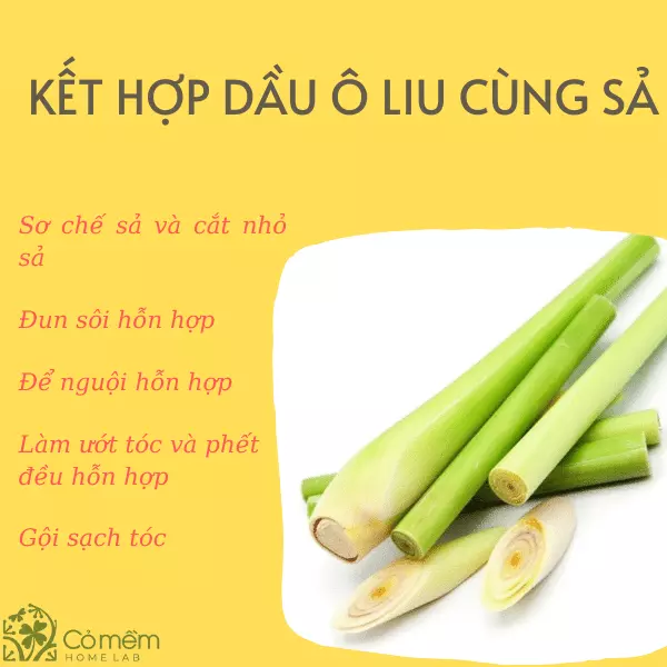 cách dưỡng tóc bằng dầu oliu