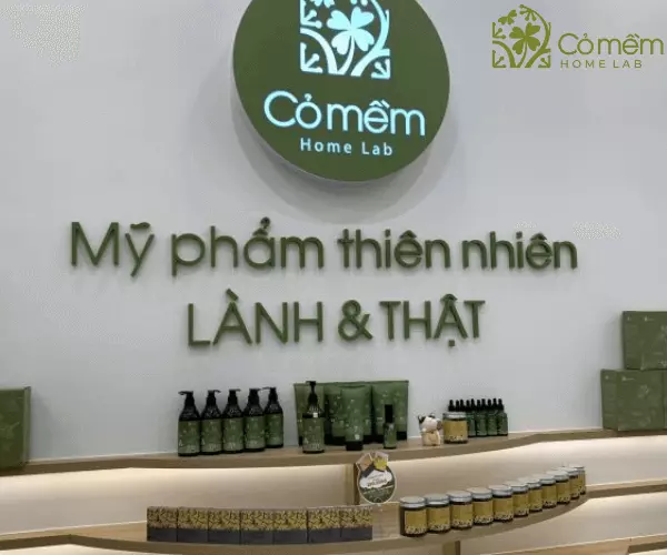 mỹ phẩm an toàn cho bà bầu