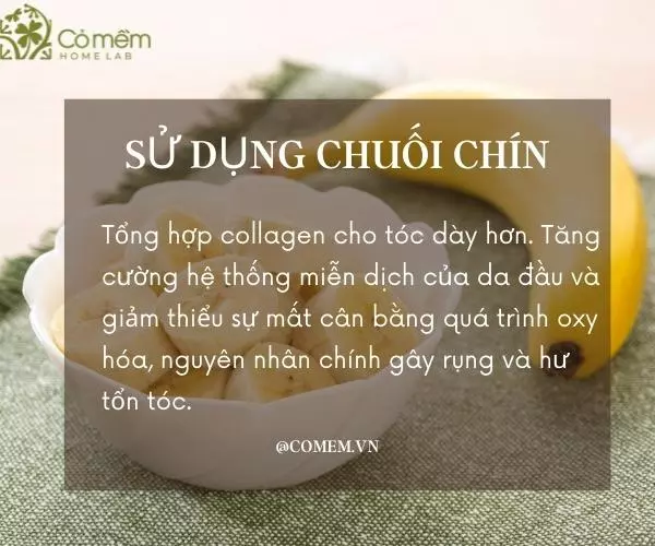 tóc hư tổn có phục hồi được không