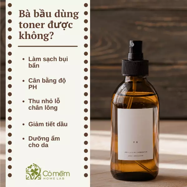 toner cho bà bầu da dầu