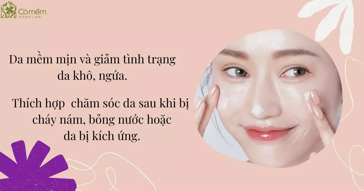 bơ hạt mỡ