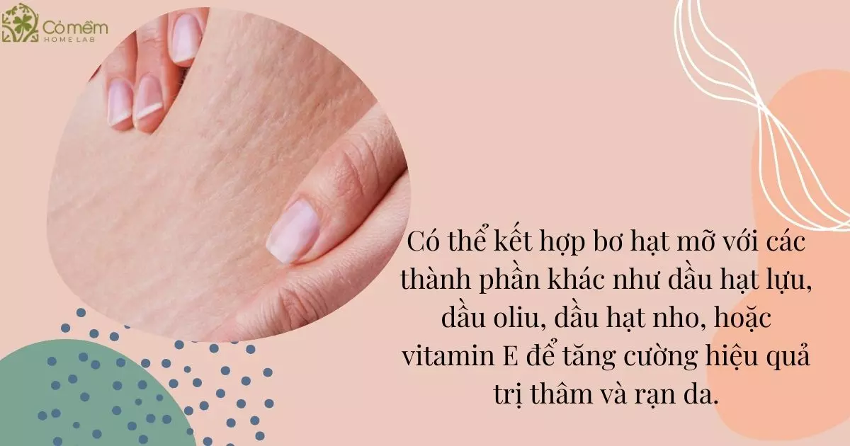 bơ hạt mỡ