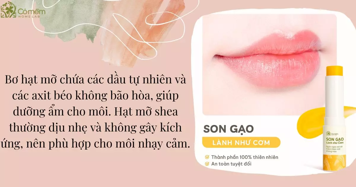 bơ hạt mỡ