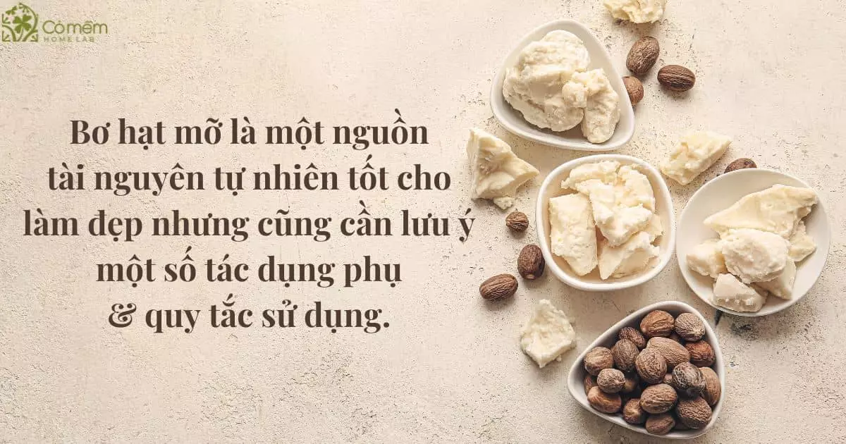 bơ hạt mỡ