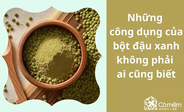 Tất tần tật những công dụng của bột đậu xanh không phải ai cũng biết