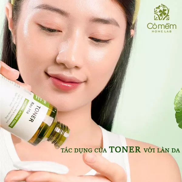 cách dùng toner