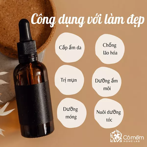 dầu argan