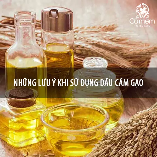 dầu cám gạo