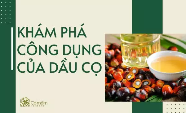 dầu cọ